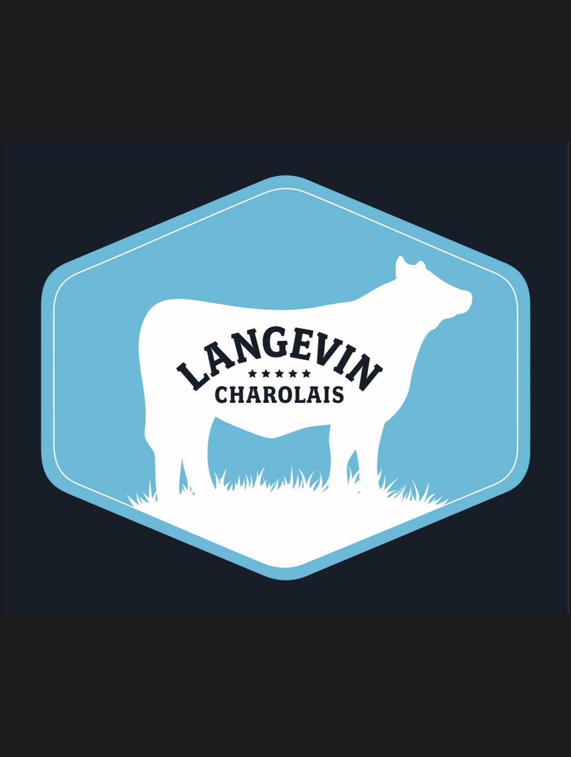 Langevin Charolais